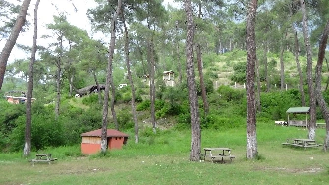 Kadirli Kokar Kaplıcası